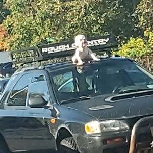 Meet your Posher, Adriel